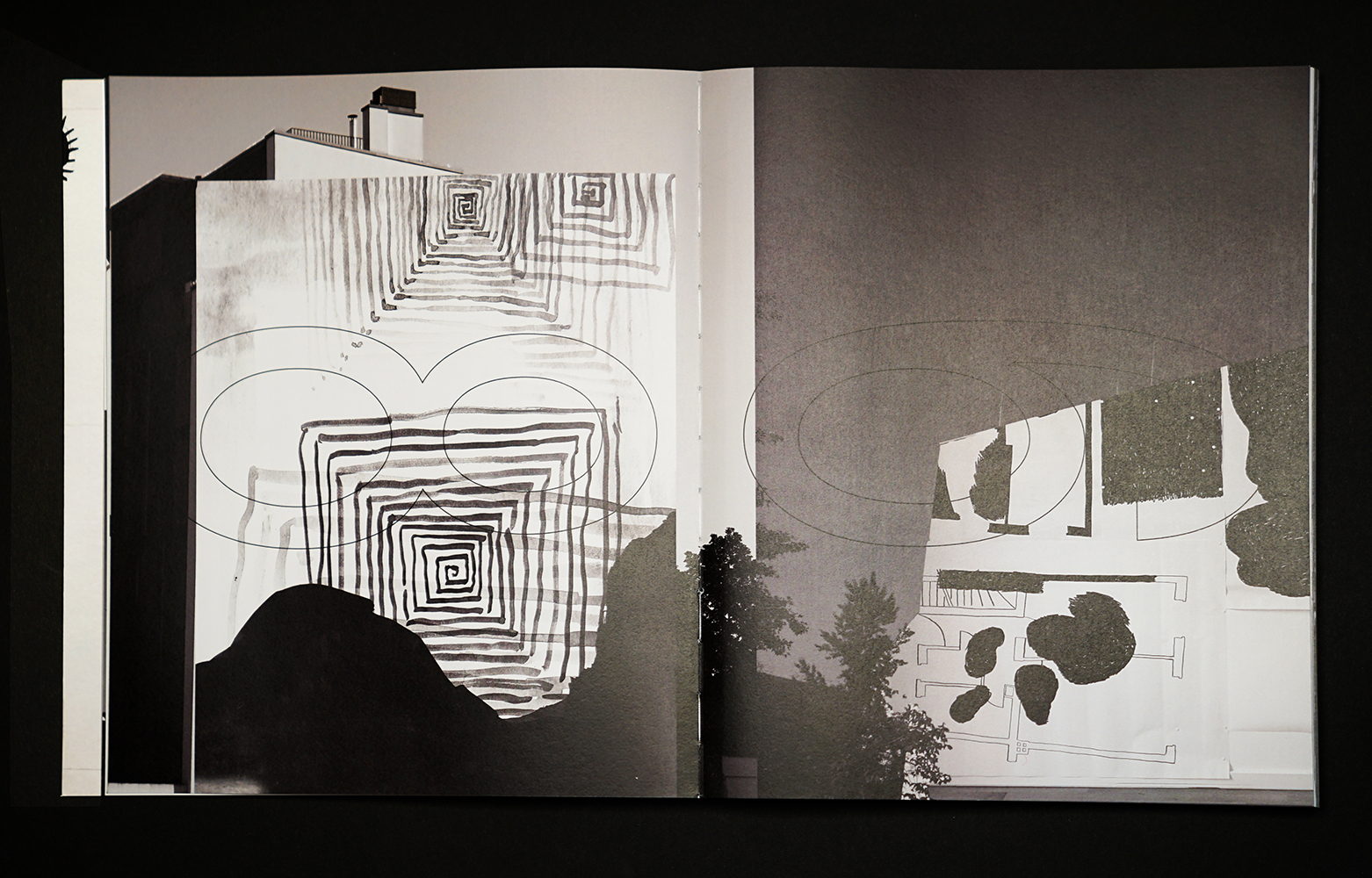 braque´s regal angela grasser seite 8-9